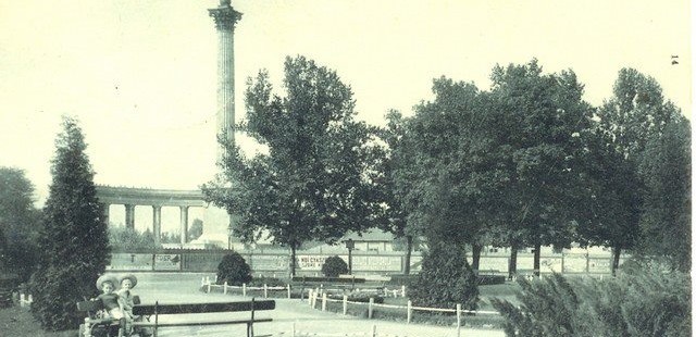 hosok-tere